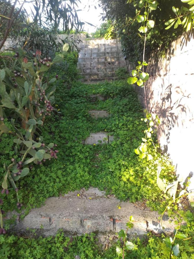 Appartamento Con Giardino Torre Dei Corsari Kültér fotó